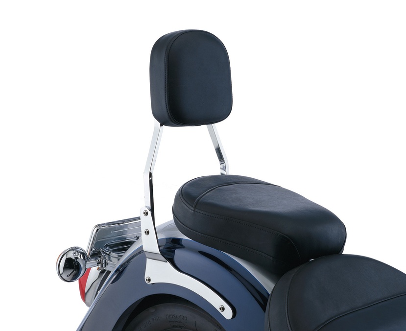 Standard Sissy Bar Sissy Bars/Luggage Racks Motorcycle Accessories