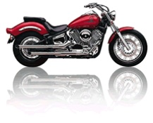 V-Star 1100 Custom (99-03)