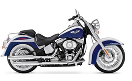 FLSTN - Softail Deluxe (12-13)