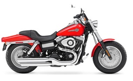 FXDF - Fat Bob (12-13)