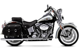 FLSTS - Heritage Springer (01-03)