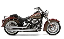 FLSTN - Softail Deluxe (08-08)