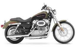 XL883C Custom (07-10)