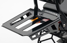 Sissy Bar Rack Formed