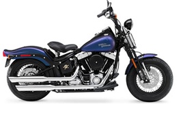 FLSTSB - Crossbones (08-08)